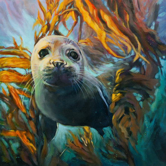 Oil painting of a young seal swimming through a vibrant kelp forest, surrounded by glowing orange and gold kelp leaves and soft teal underwater light.