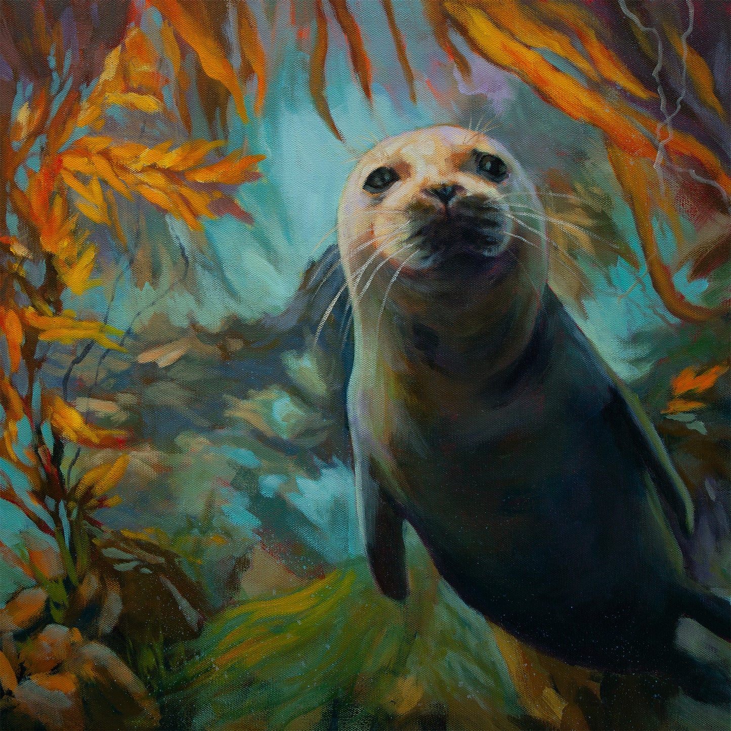 Oil painting of a young seal swimming upward through a glowing kelp forest, surrounded by warm golden kelp and soft teal underwater light, from the Wild Neighbors Collection.