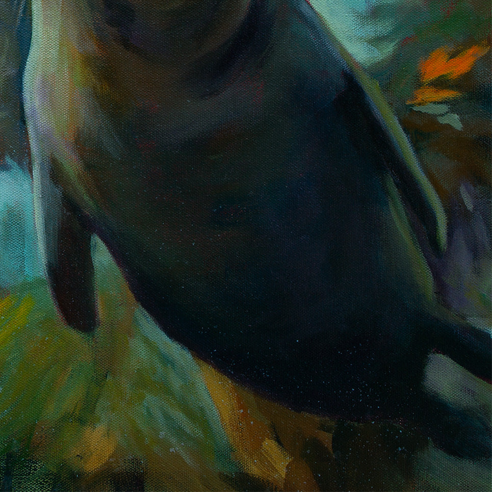Close-up of the lower body of a young seal swimming through deep teal water with golden kelp leaves around it, from the painting “Curious by Nature.”