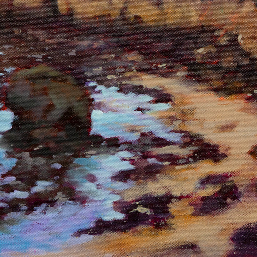 rocky shoreline with tide pools at Santa Cruz coast, warm sunset light, oil painting detail